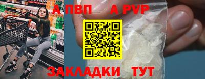 стафф Краснознаменск
