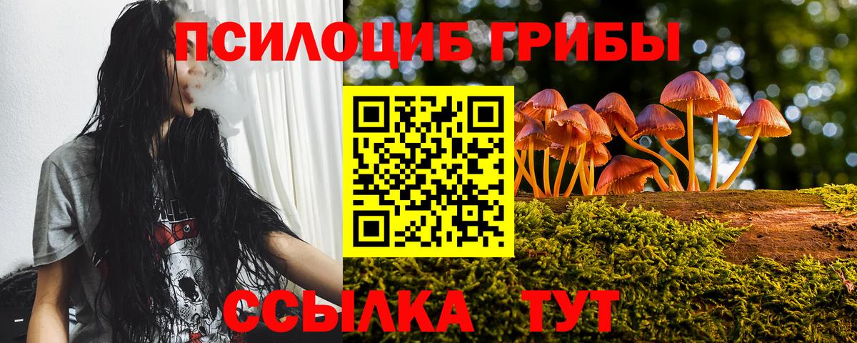 Псилоцибиновые грибы Magic Shrooms Качканар