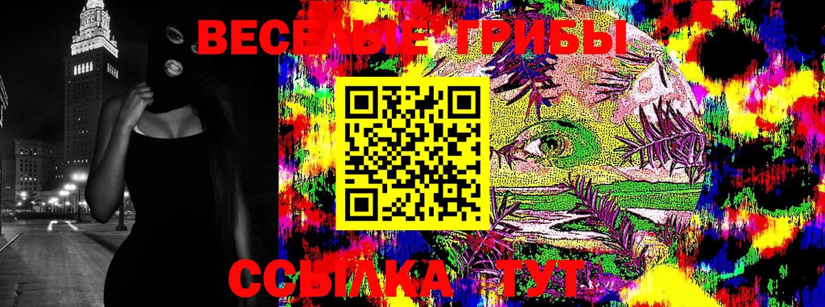 как найти закладки  Псилоцибиновые грибы Magic Shrooms  Вход с VPN  Качканар 